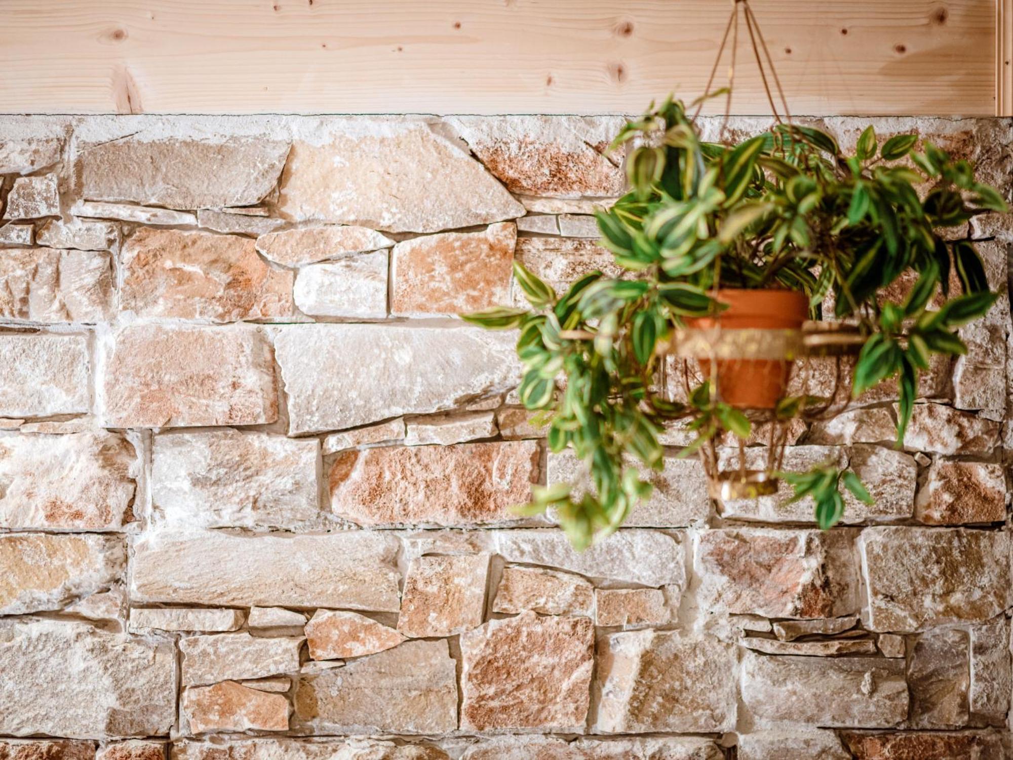 Chalet Chalet Simon - Gbm250 By Interhome グレーブミング エクステリア 写真